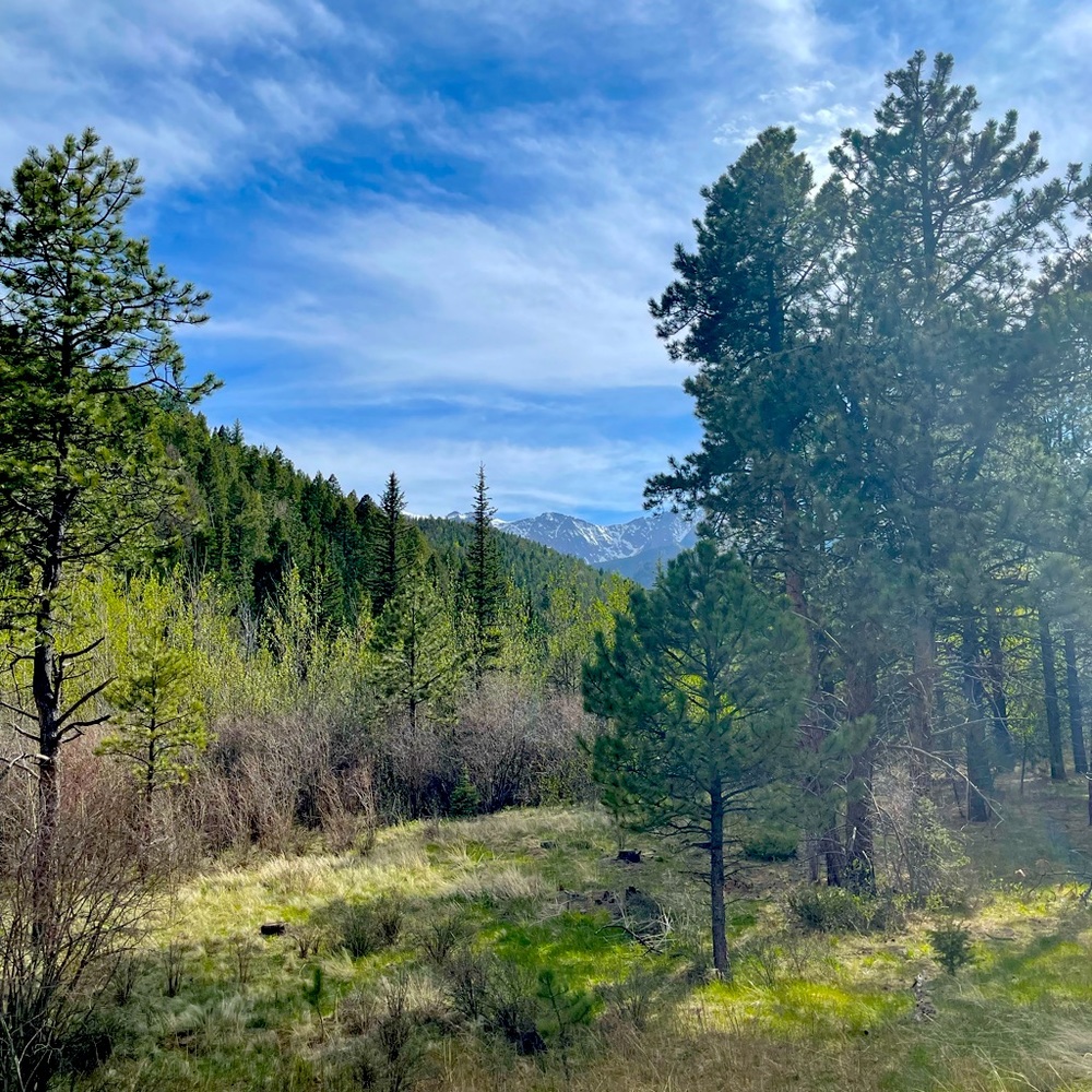 A little bit of everything!